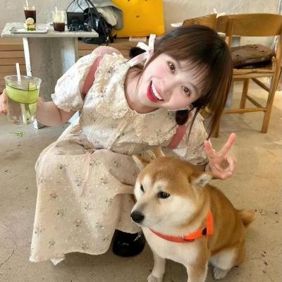 仙女座报告